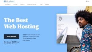 the best web hosting blueshot