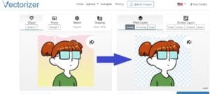 Vectorizer removing background