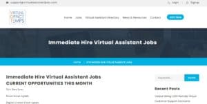 Virtual Assistans Job